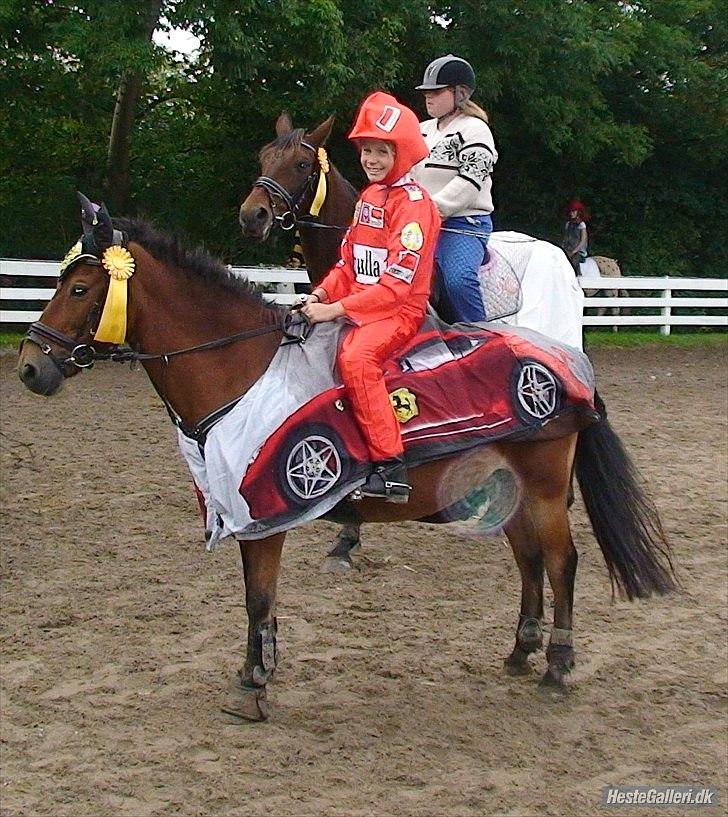 Anden særlig race Buster Larsen <3solgt :.- - det samme her love him billede 9