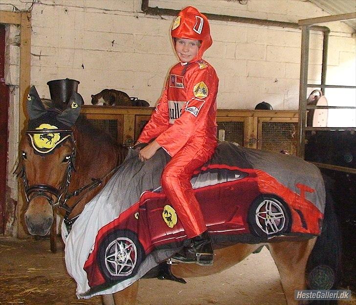 Anden særlig race Buster Larsen <3solgt :.- - her er vi på vej ud og springe som farie billede 10