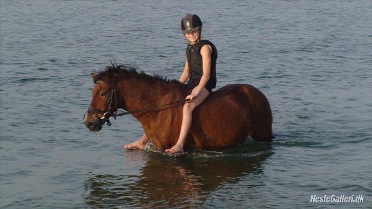 Anden særlig race Buster Larsen <3solgt :.- - ude og bade billede 12