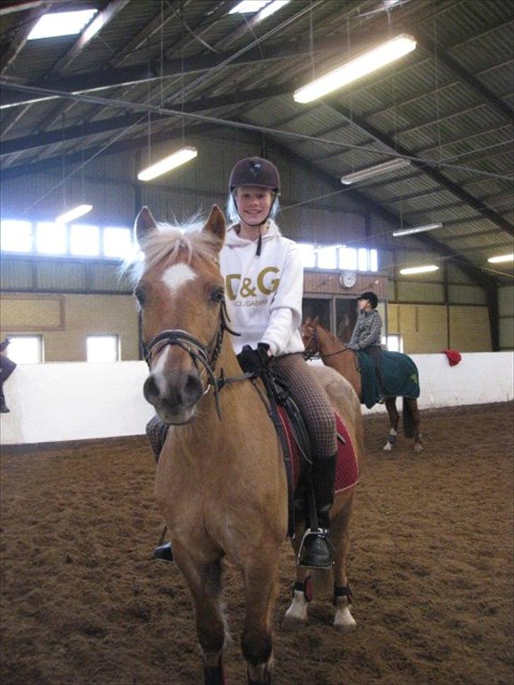 Anden særlig race Comet.<3 - Mette var så sød at tage billeder af mig og Comet inde i den store ridehal.:-) billede 7