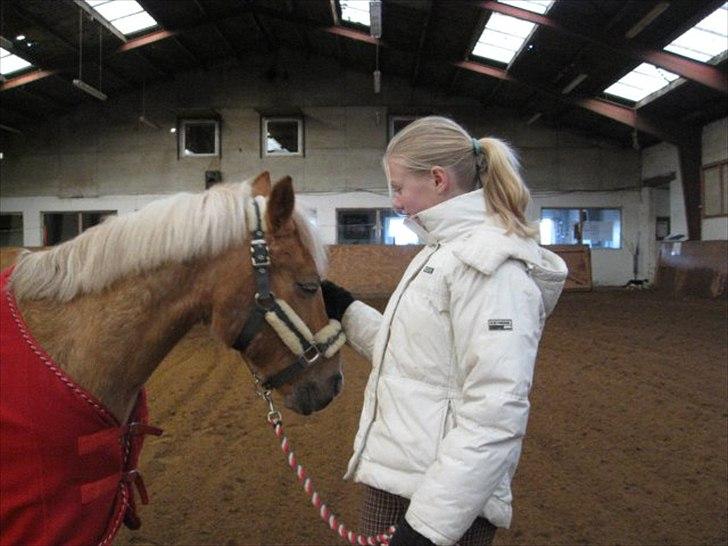 Anden særlig race Comet.<3 - Årh, Comet.<3 billede 8