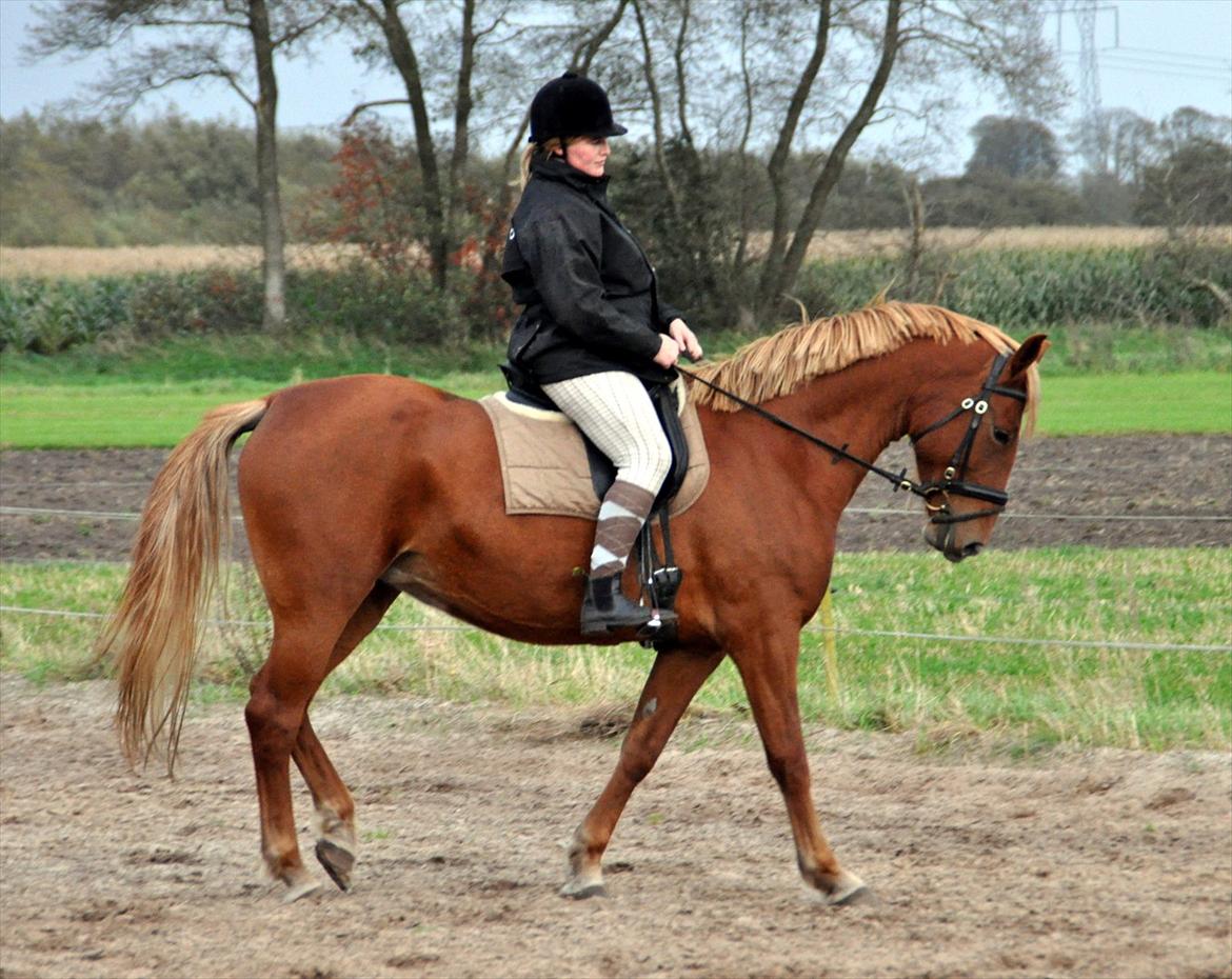 Frederiksborg Bakkegårds Nathasja billede 13