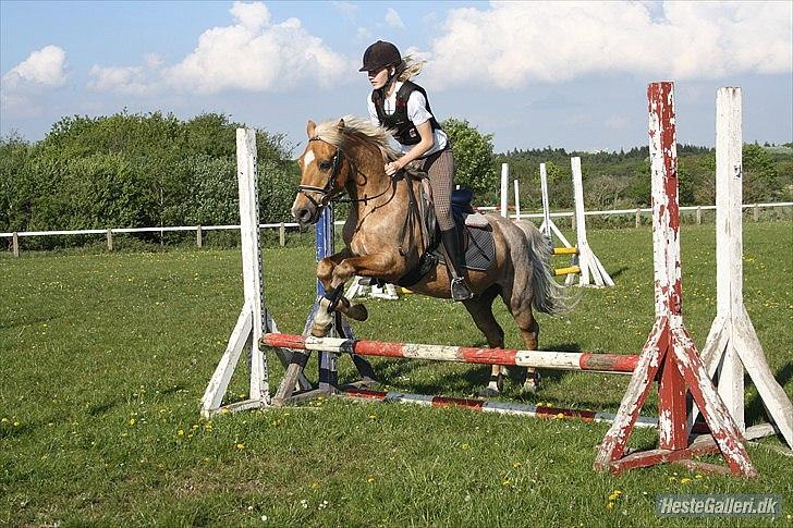 Anden særlig race Comet.<3 - MMB l Foto.
- Hopla!:D billede 10