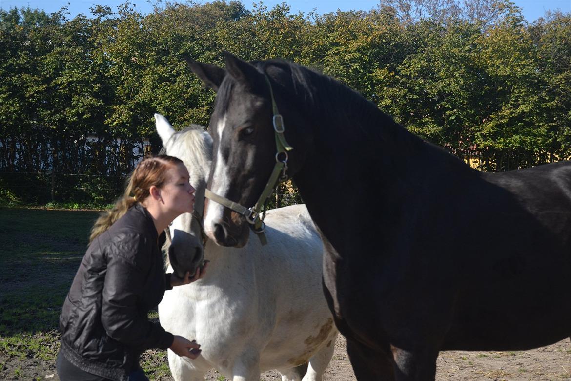 Holstener Loutiana B. [RIP] billede 5