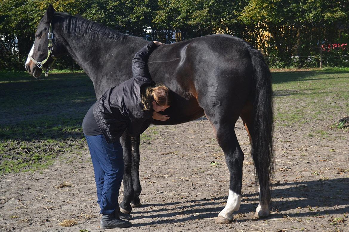 Holstener Loutiana B. [RIP] - Loulou der er næsten i 5. månede haha billede 8