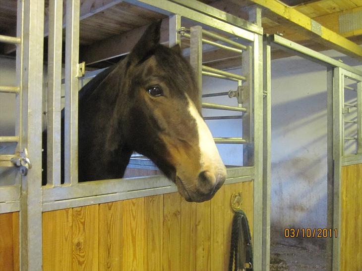 {{currentPhoto.altText}} billede {{currentPhoto.number}}