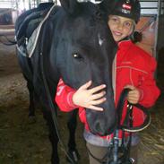 New Forest Elmholts Jenka<3