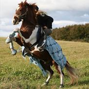 Anden særlig race Komet||My soulmate||<3