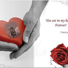 Fjordhest Zandra Min Engle R. I. P 2011 Rest In Peace