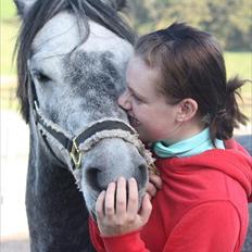 Connemara Aabæks bobby Lee BEDSTEVEN!!!<3