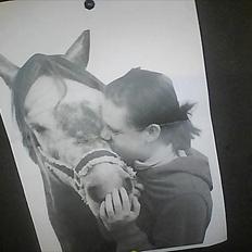 Connemara Aabæks bobby Lee BEDSTEVEN!!!<3