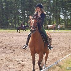 Anden særlig race Lucky<3