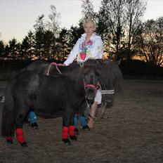 Falabella Kildegaardens Carmen