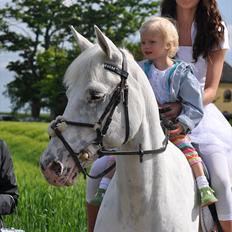 Knabstrupper Zeba, min bedste ven :*