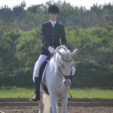 Anden særlig race Domingo