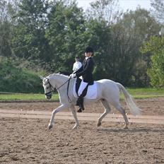 Anden særlig race Domingo