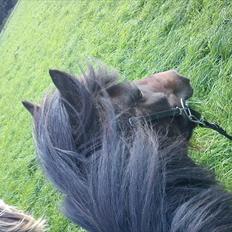 Anden særlig race verdi  <3