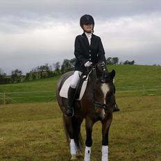 Tysk Sportspony Nelly