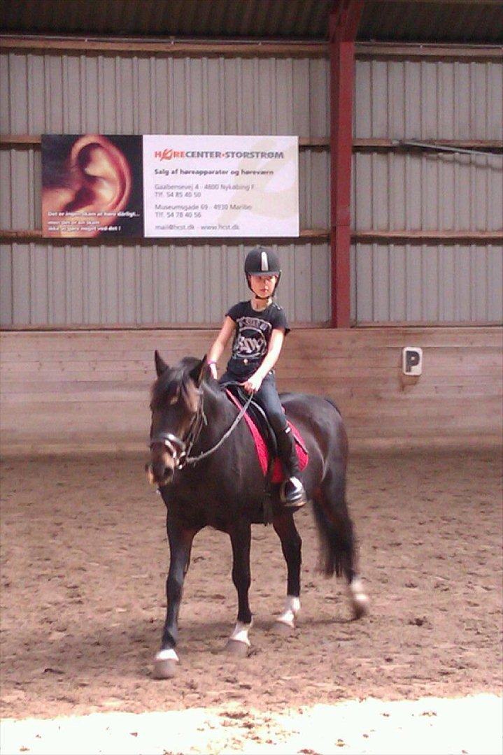 New Forest fonzie - du er så dejlig billede 13