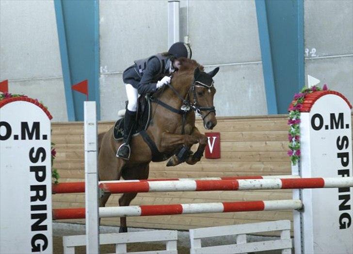 New Forest le philip - Phille for et par år siden<3 billede 11