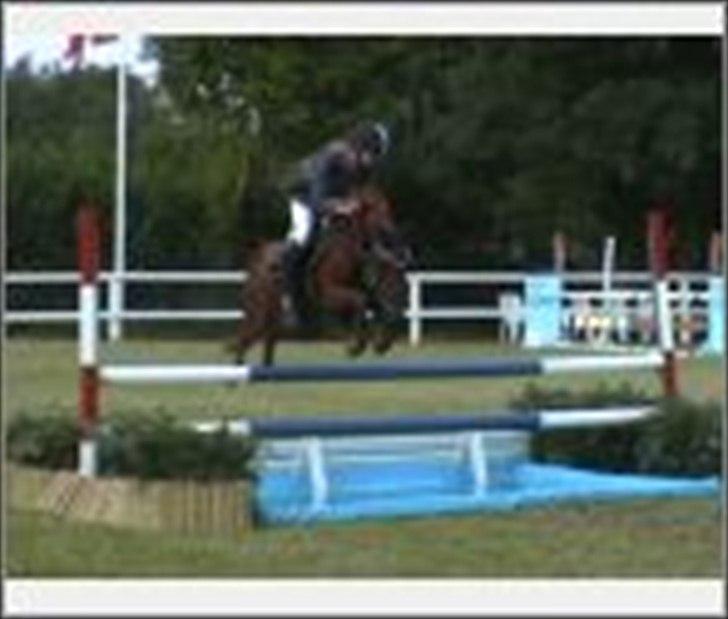 New Forest le philip - stævne billede 12