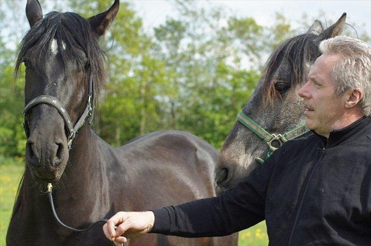 Pura Raza Española YC Bizarro - YC Bizarro 2011 billede 8