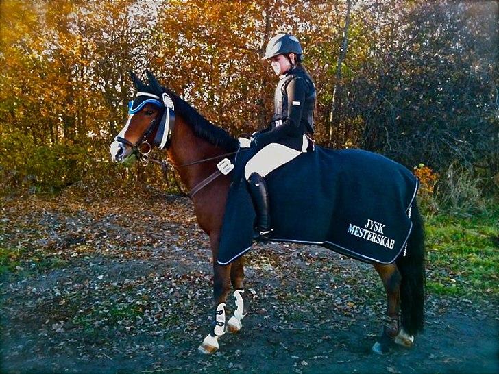 Anden særlig race Casco - Jyskmester 2010.
s** billede 7
