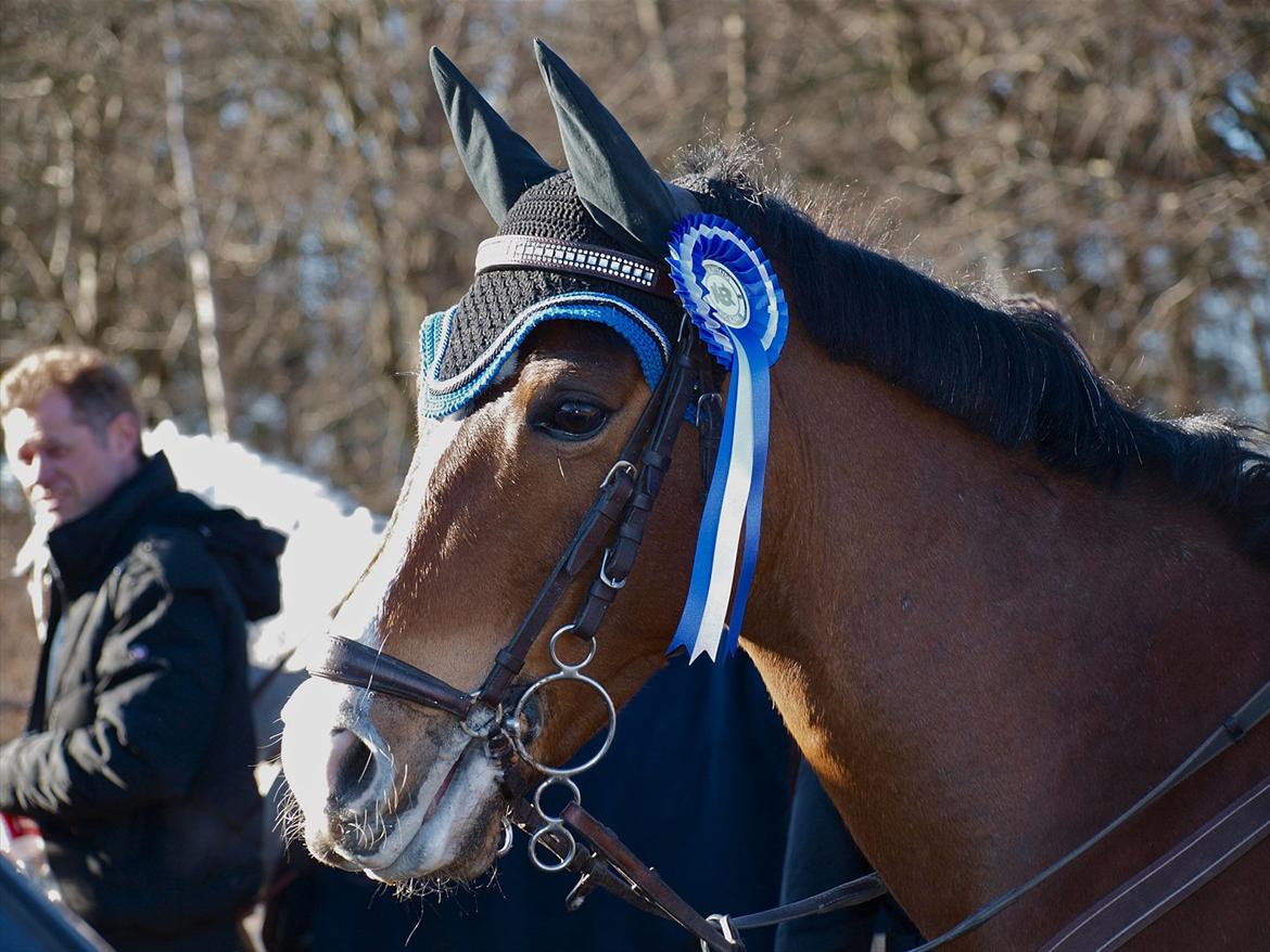 Anden særlig race Casco - Landsstævne Herning 2011. billede 8