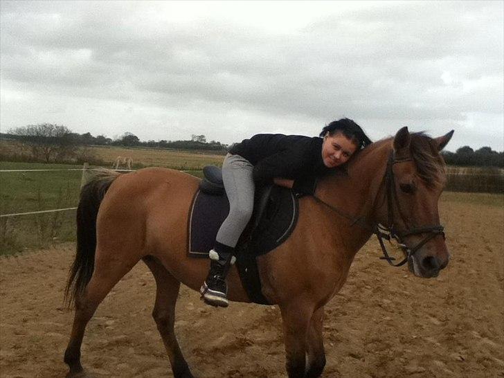 Anden særlig race  Kandis  - Josephine der rider Kandis  billede 5