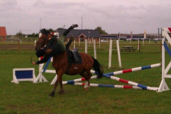 Anden særlig race Lucky<3 - ville lige ned at smage græsset ;0) - første spring undervisning d. 4 oktober 2011 billede 11