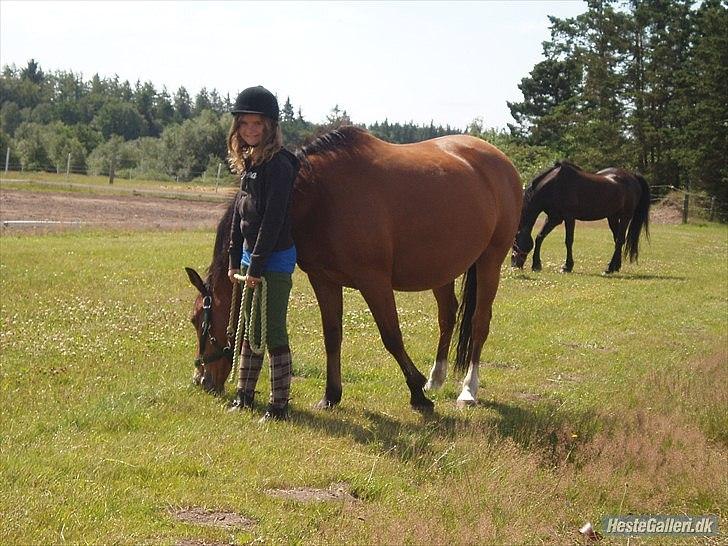 Anden særlig race Lucky<3 - På vej ind fra fold! (; <33 billede 18
