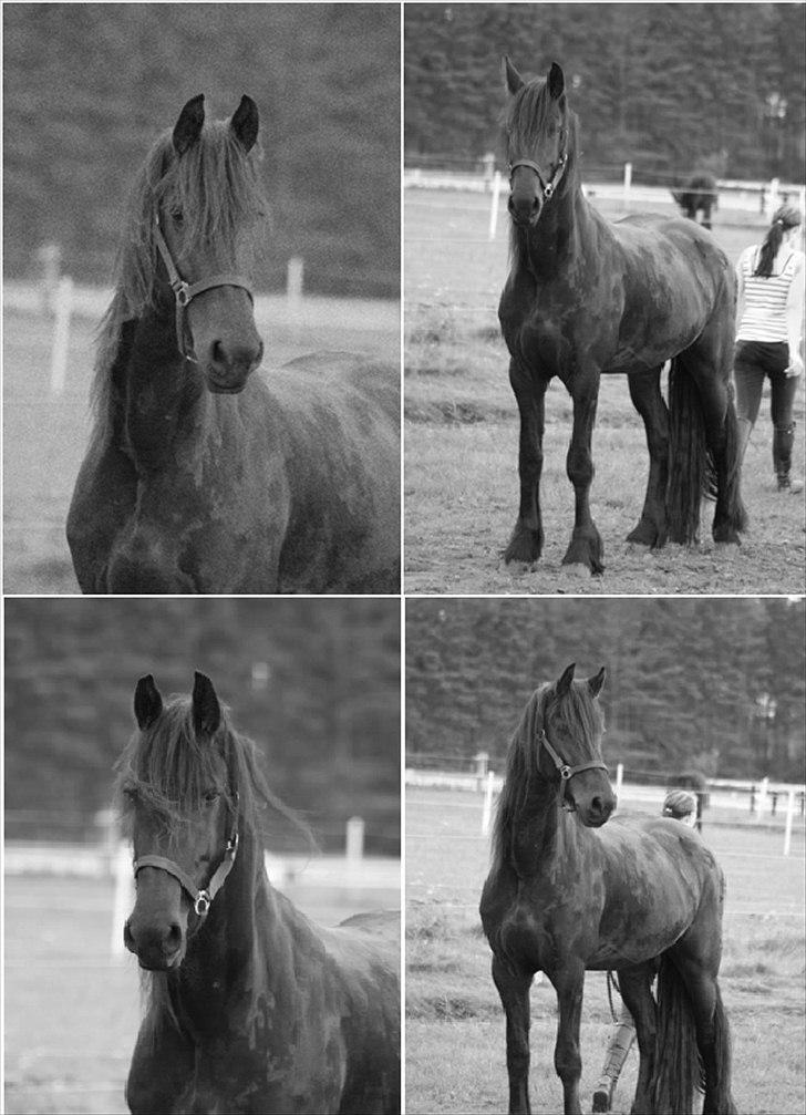 Frieser Chelly<3 billede 18