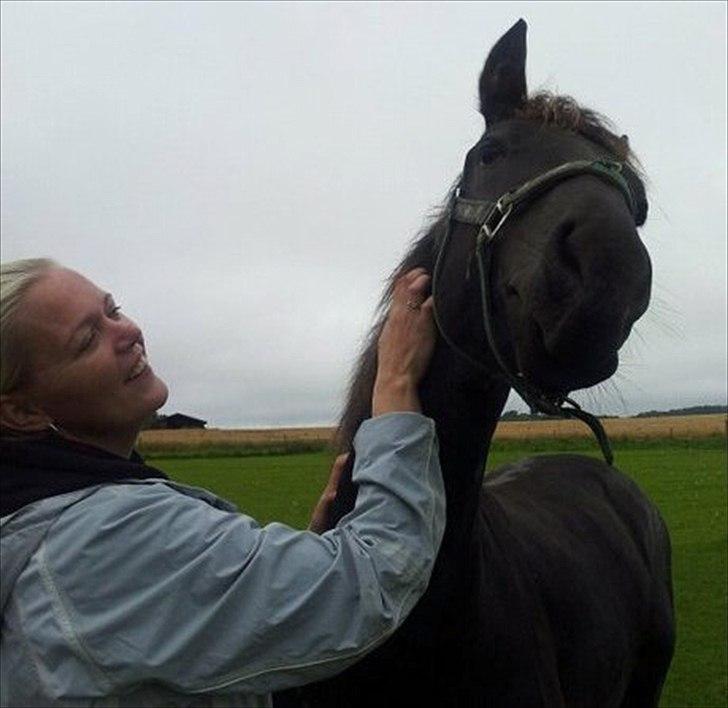 Frieser Horst fan de Harr - Juli 2011: Da jeg var ude og se ham anden gang, og sagde ja til at han skulle være min ;-) billede 16