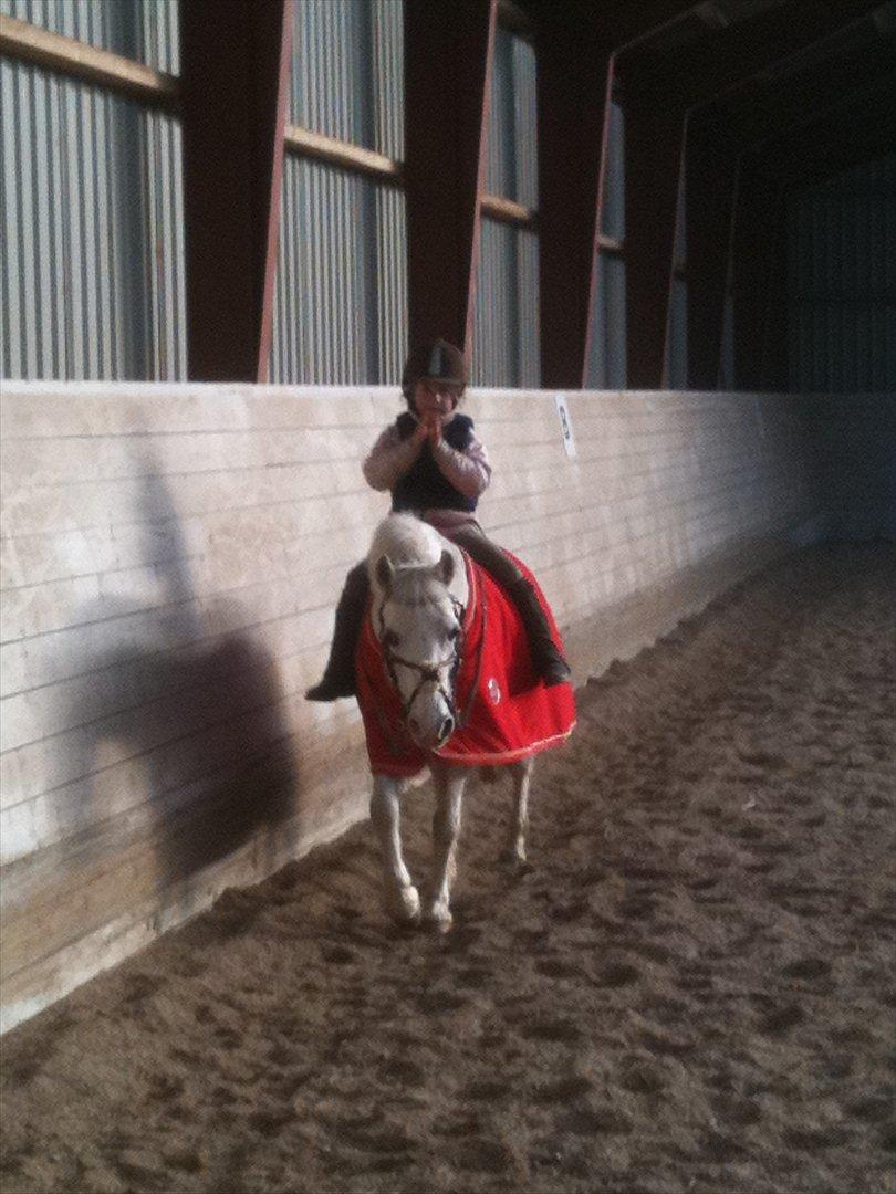 Anden særlig race Freja(SMUKKE) billede 10