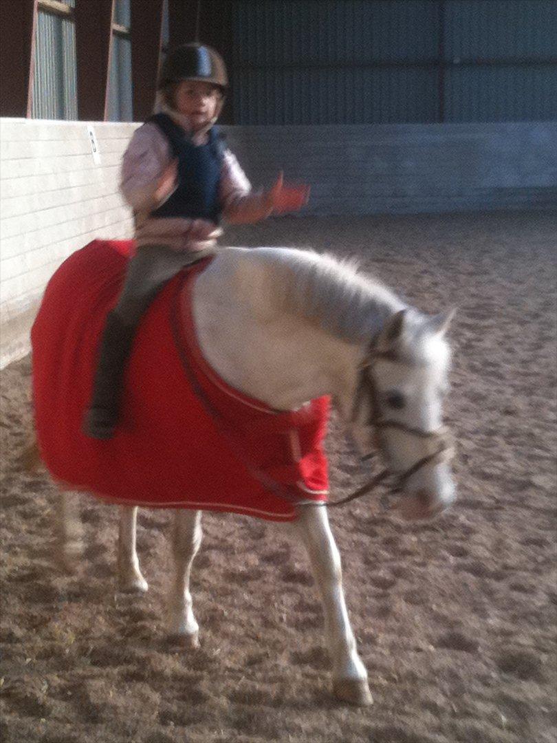 Anden særlig race Freja(SMUKKE) billede 11