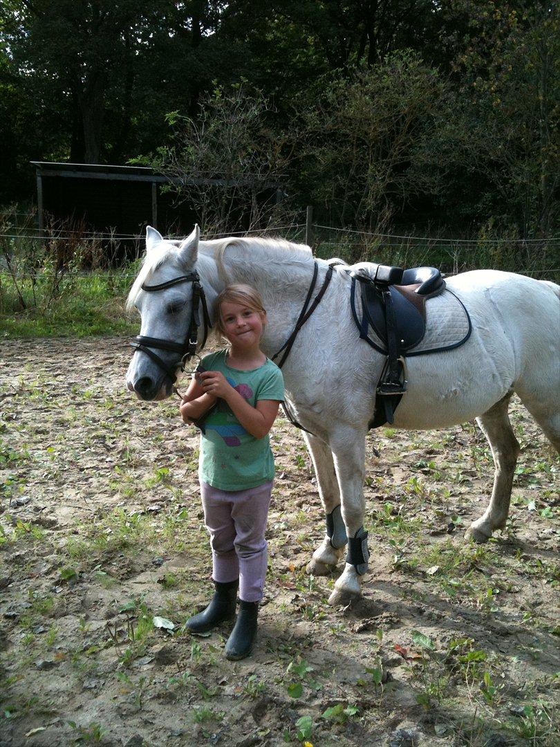 Anden særlig race Freja(SMUKKE) billede 13