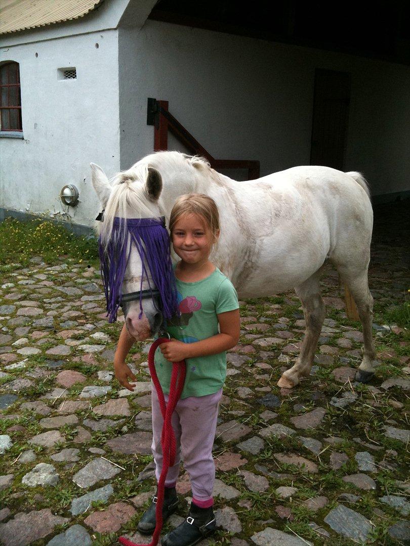 Anden særlig race Freja(SMUKKE) billede 14