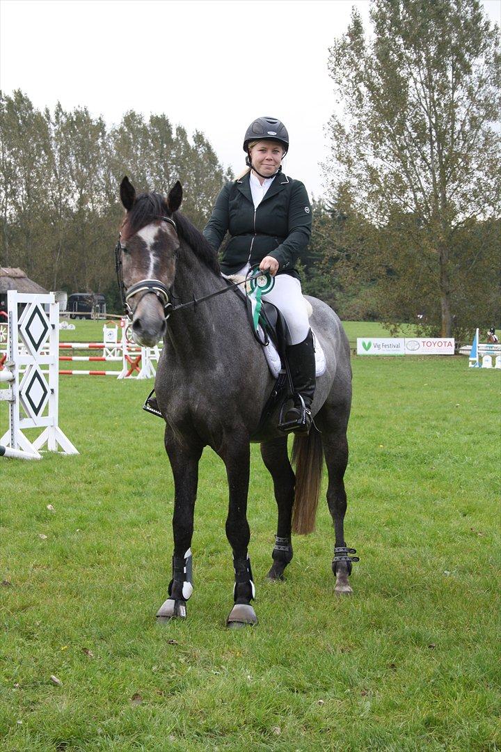 Dansk Varmblod Ny Corlinde Mario billede 6