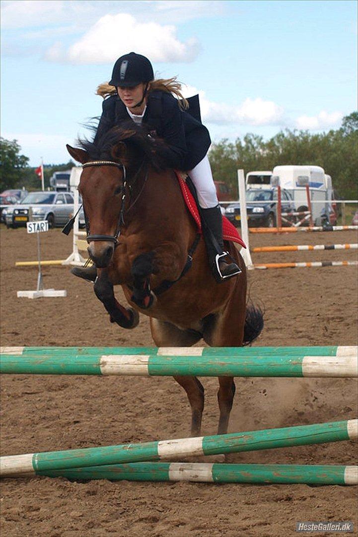 Anden særlig race Bitteby's Tulle.  - Tulle og Kristina til springstævne. billede 5