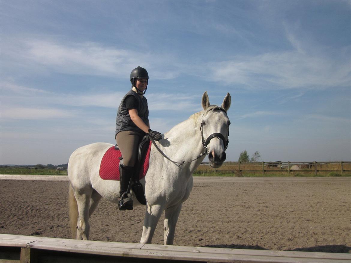 Hannoveraner Ribana - Opvarmning :) billede 4