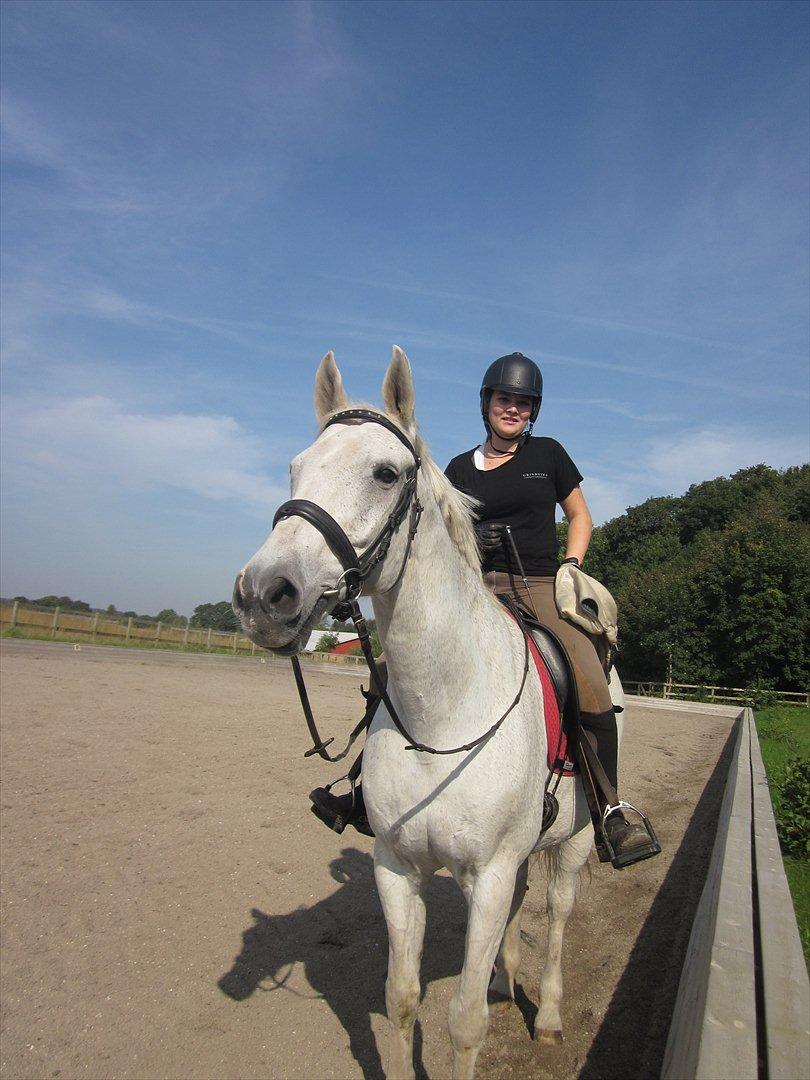 Hannoveraner Ribana - Smukke dejlige Ribana<3 billede 14