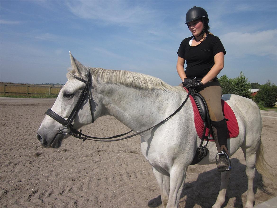 Hannoveraner Ribana - Tror jeg har det hårdest af hende og mig:P billede 18