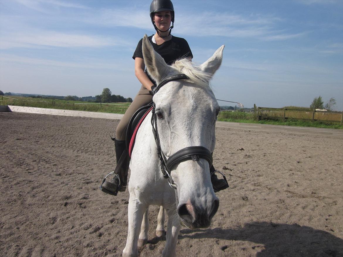 Hannoveraner Ribana - Og så blev hun oss en lille smule træt:) billede 19