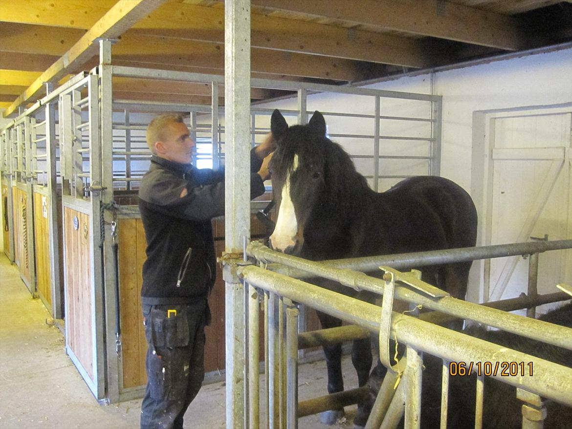 Anden særlig race Bruno (solgt) - 6/10-11 mike nusser om Bruno billede 8