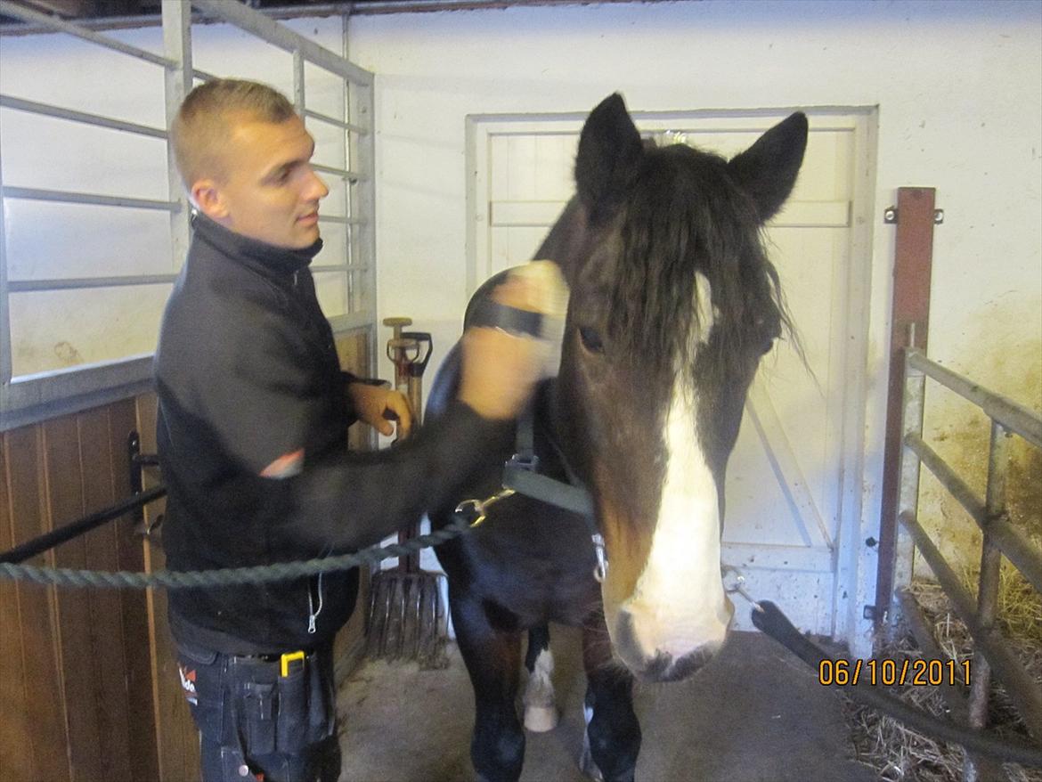 Anden særlig race Bruno (solgt) - 6/10-11 Mine to drenge hygger på staldgangen billede 9