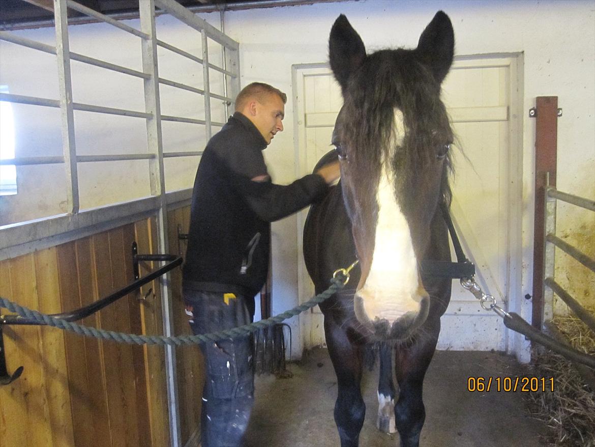 Anden særlig race Bruno (solgt) - 6/10-11 hvor bliver du fin billede 10