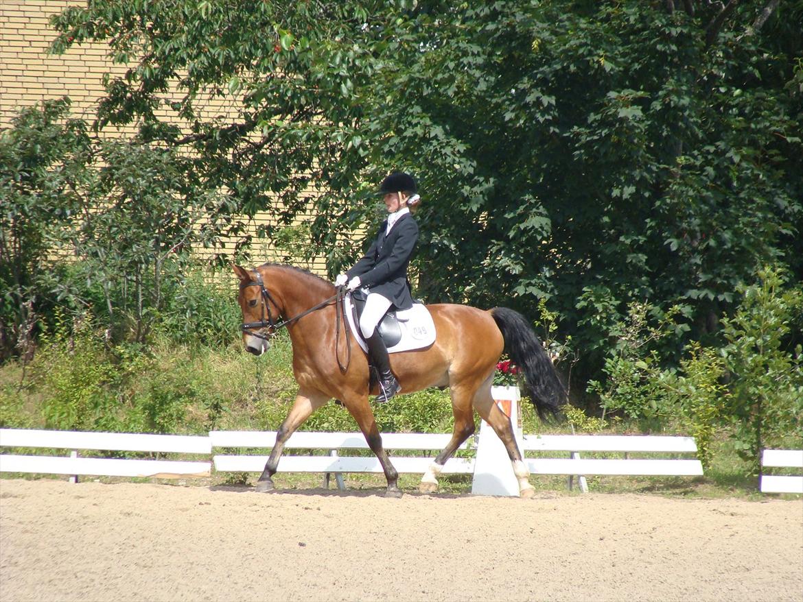 Anden særlig race Fernando B-pony - R.I.P... billede 20