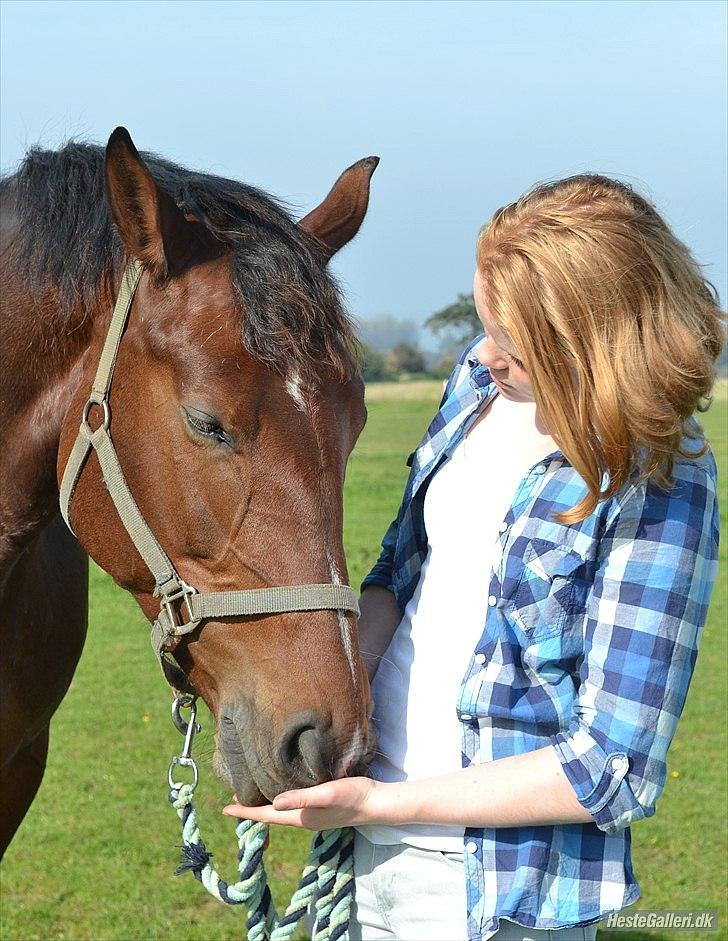 Oldenborg Zerí af Østerdovergaard - taget af ~ Nikoline Carlsen & Hedebos Cindi ~, sommer 2011 billede 10