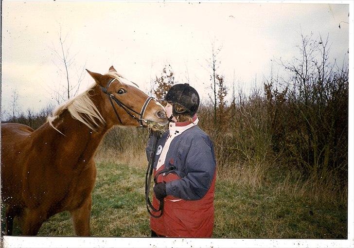 Traver Pan (Paw)R.I.P billede 2