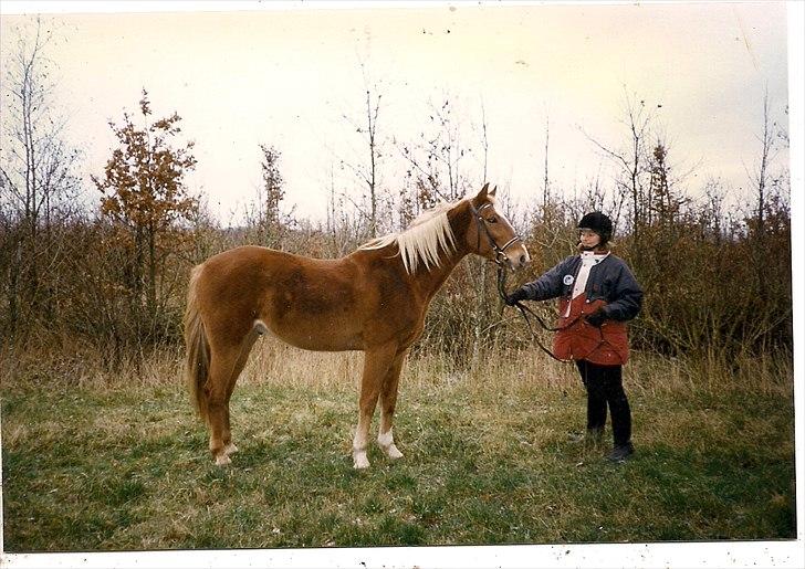 Traver Pan (Paw)R.I.P billede 3